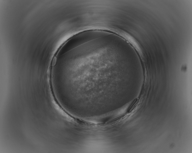 X0000091010958200708021546