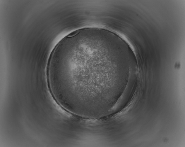 X0000091010959200708021546