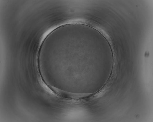 X0000091010960200708021546