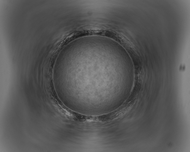 X0000091010961200708021545