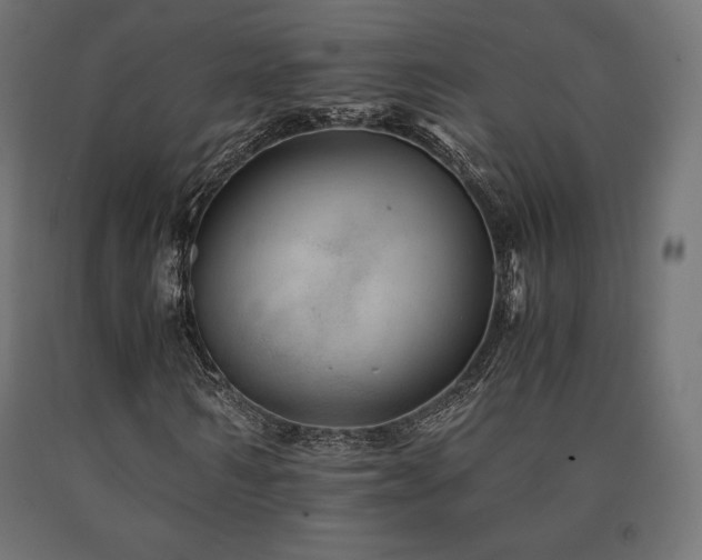 X0000091010962200708021545
