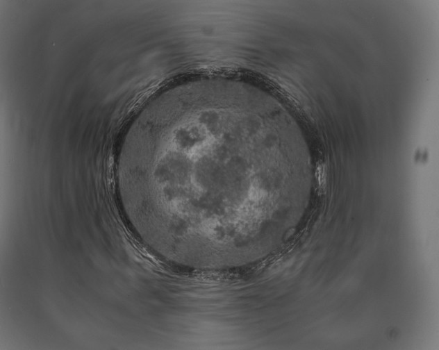 X0000091010963200708021545