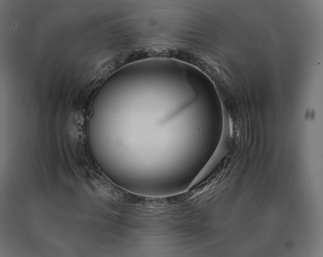 X0000091010964200708021545