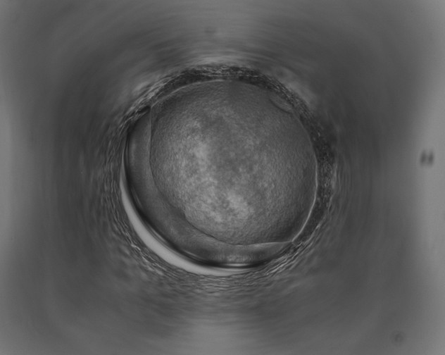 X0000091010965200708021545