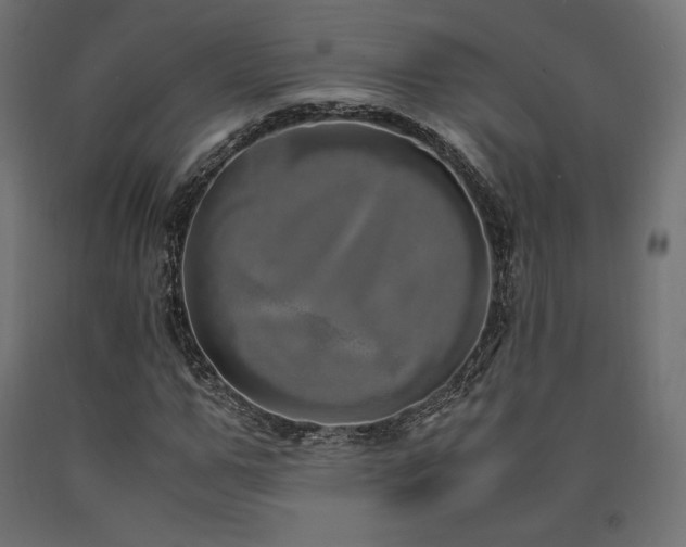 X0000091010967200708021545