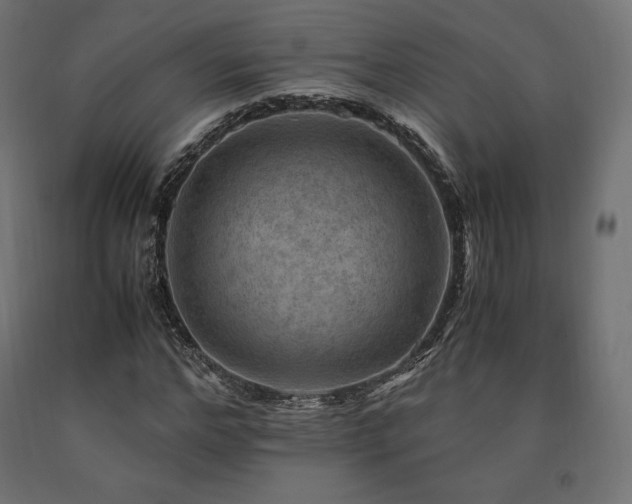 X0000091010968200708021545