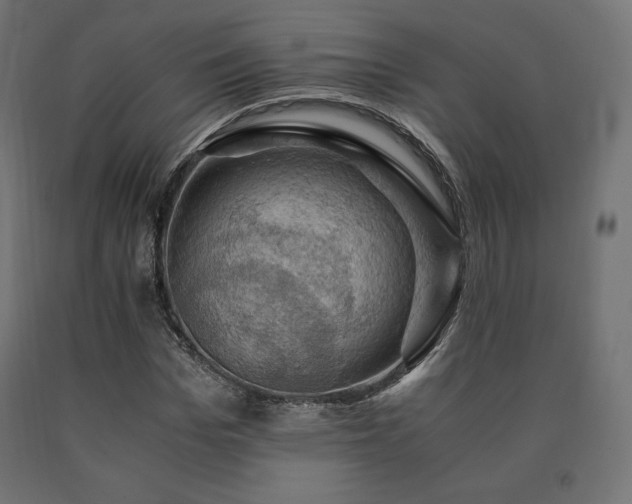 X0000091010969200708021545