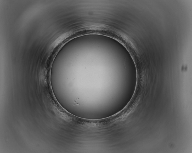 X0000091010970200708021545