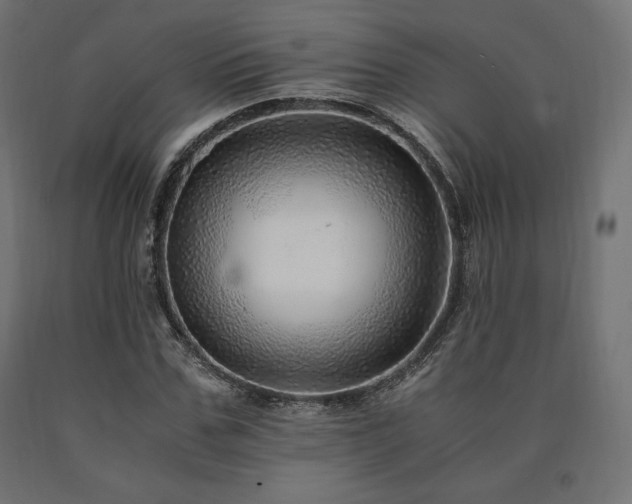 X0000091010971200708021545