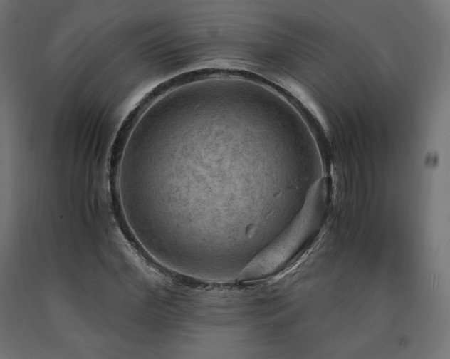 X0000091010972200708021545