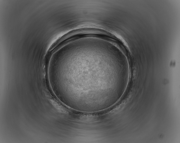 X0000091010973200708021545