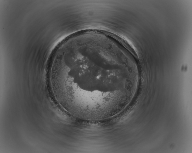 X0000091010975200708021545
