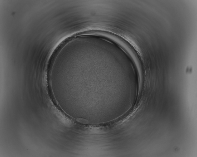 X0000091010976200708021545