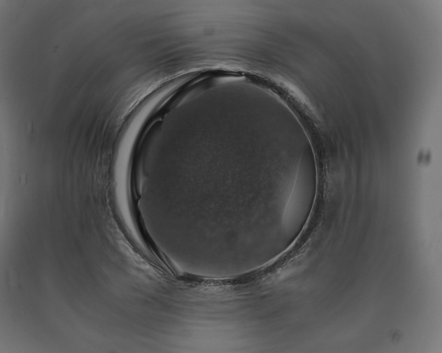 X0000091010977200708021545