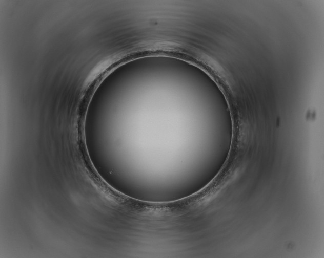 X0000091010978200708021545
