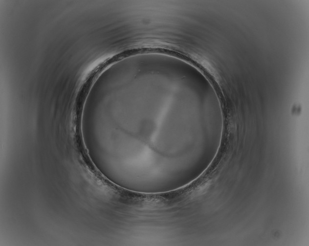 X0000091010979200708021545