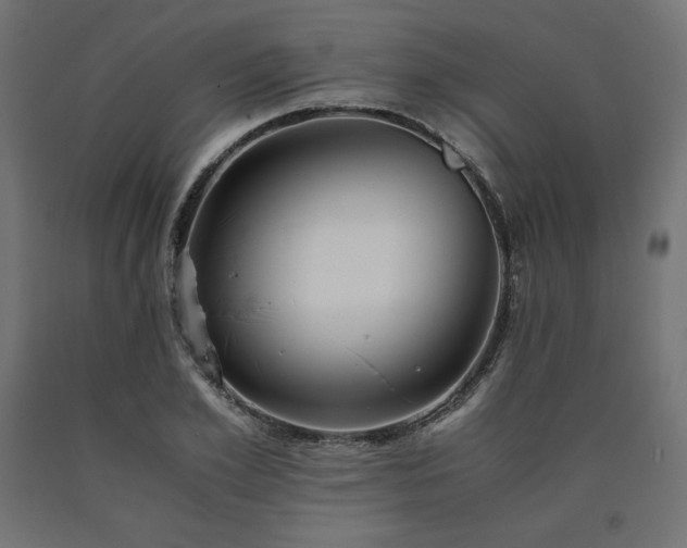 X0000091010981200708021545