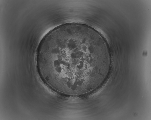 X0000091010983200708021545