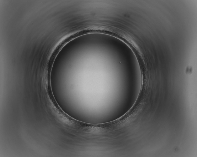 X0000091010984200708021545