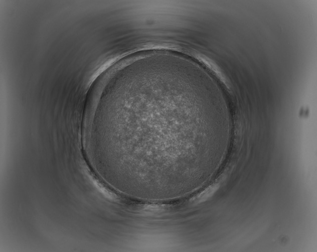 X0000091010985200708021545