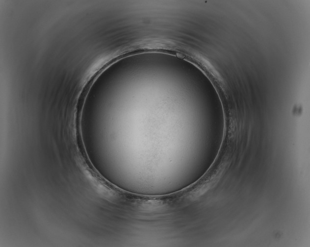 X0000091010986200708021545