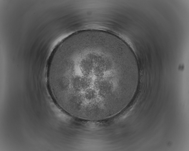 X0000091010987200708021545