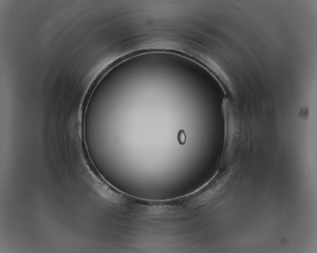 X0000091010988200708021545