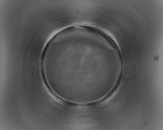 X0000091010989200708021545