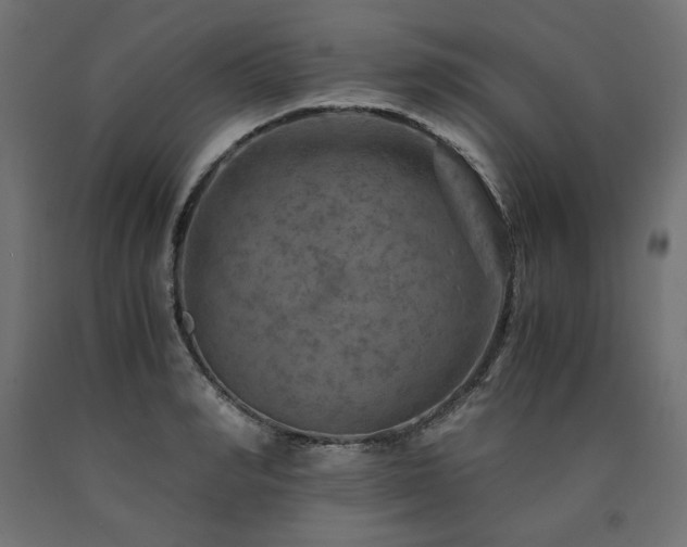 X0000091010990200708021545