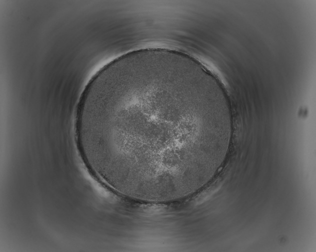 X0000091010991200708021545