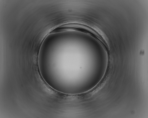 X0000091010993200708021545