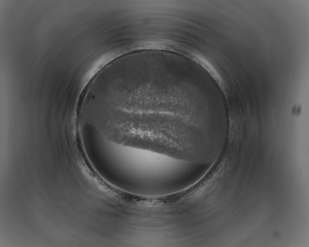 X0000091010994200708021545