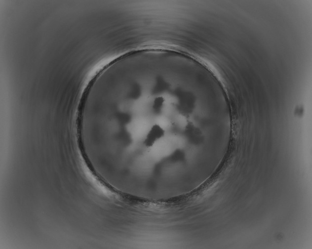 X0000091010995200708021545