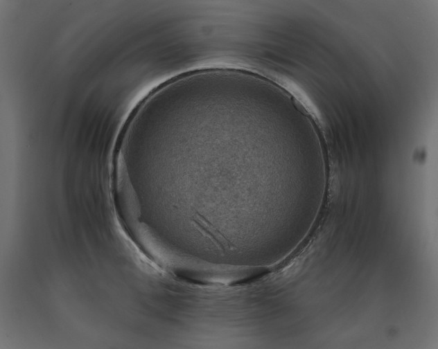 X0000091010996200708021545