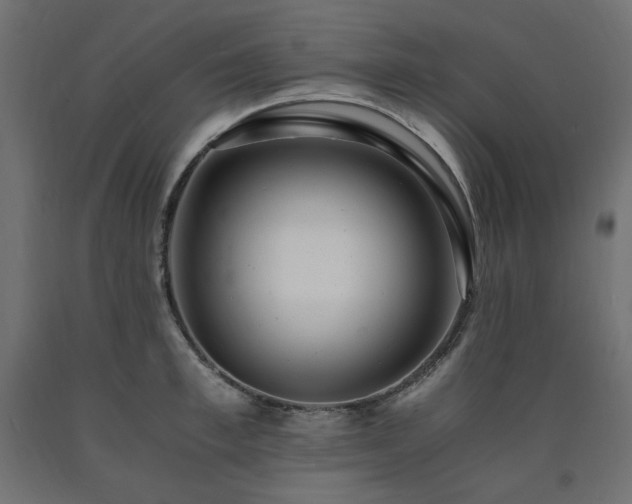 X0000091010997200708021545