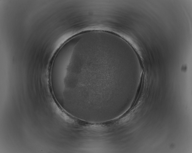 X0000091010998200708021545