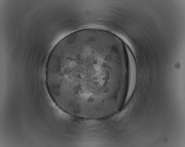 X0000091010999200708021544