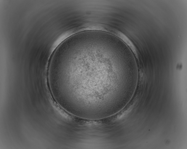 X0000091011002200708021544
