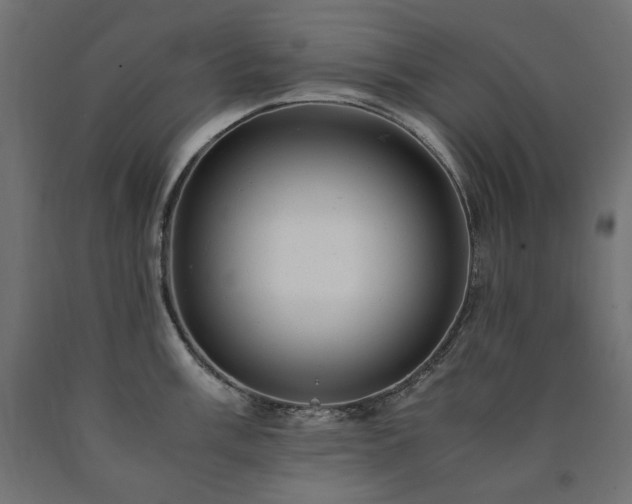 X0000091011003200708021544