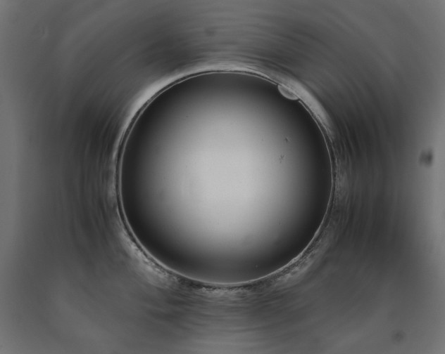 X0000091011004200708021544