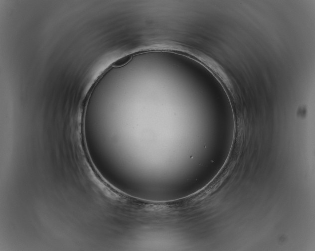 X0000091011006200708021544