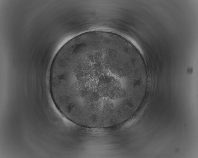 X0000091011007200708021544