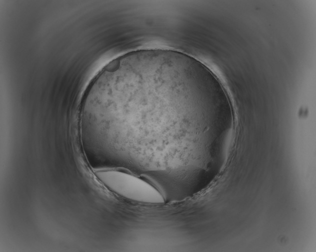 X0000091011008200708021544