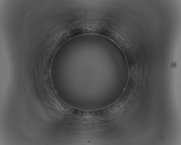 X0000091011009200708021544
