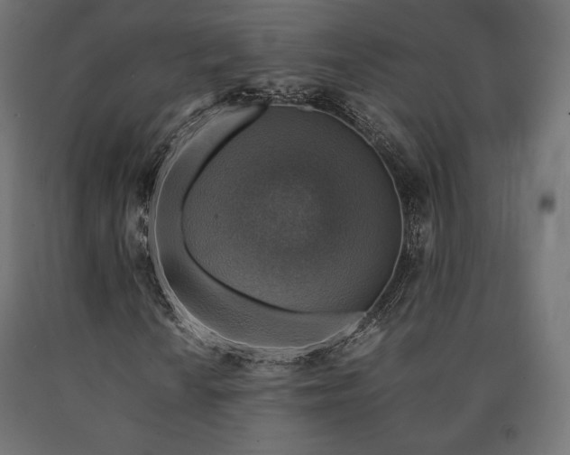 X0000091011010200708021544