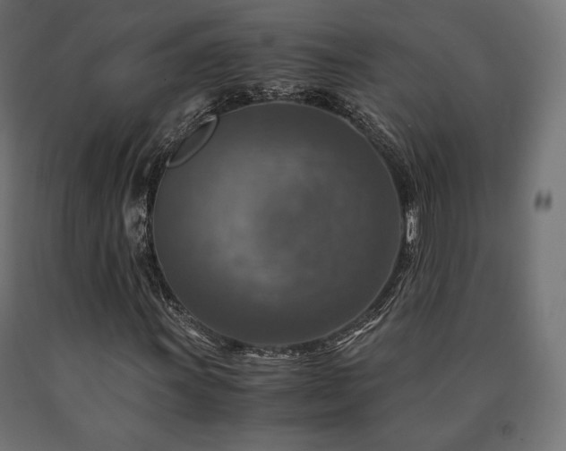 X0000091011011200708021544