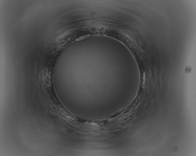 X0000091011013200708021544