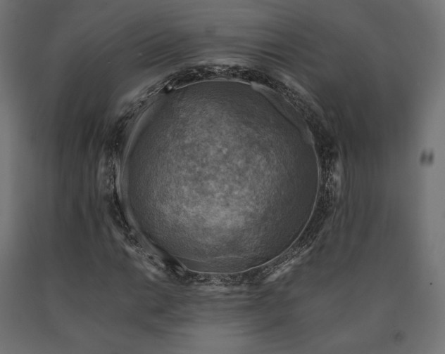 X0000091011014200708021544