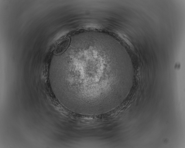 X0000091011015200708021544
