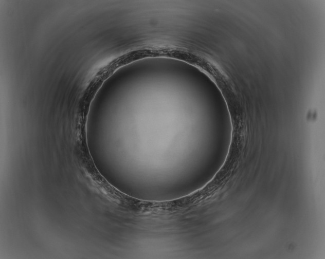 X0000091011016200708021544